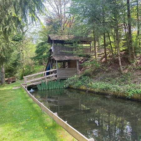 Hotel-Restaurant Theis-Muehle Biersdorf Εξωτερικό φωτογραφία