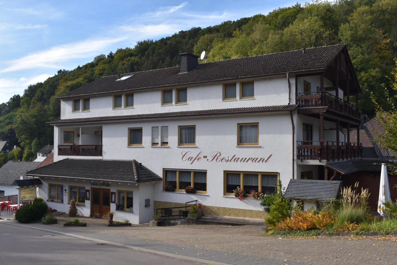 Hotel-Restaurant Theis-Muehle Biersdorf Εξωτερικό φωτογραφία